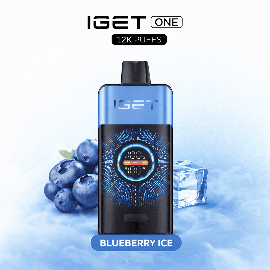 IGET ONE Blueberry Ice